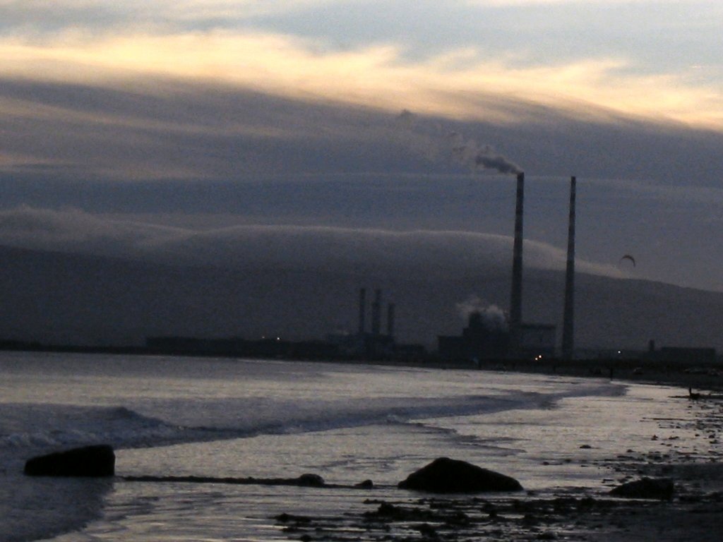 Bull Island Nov 2003