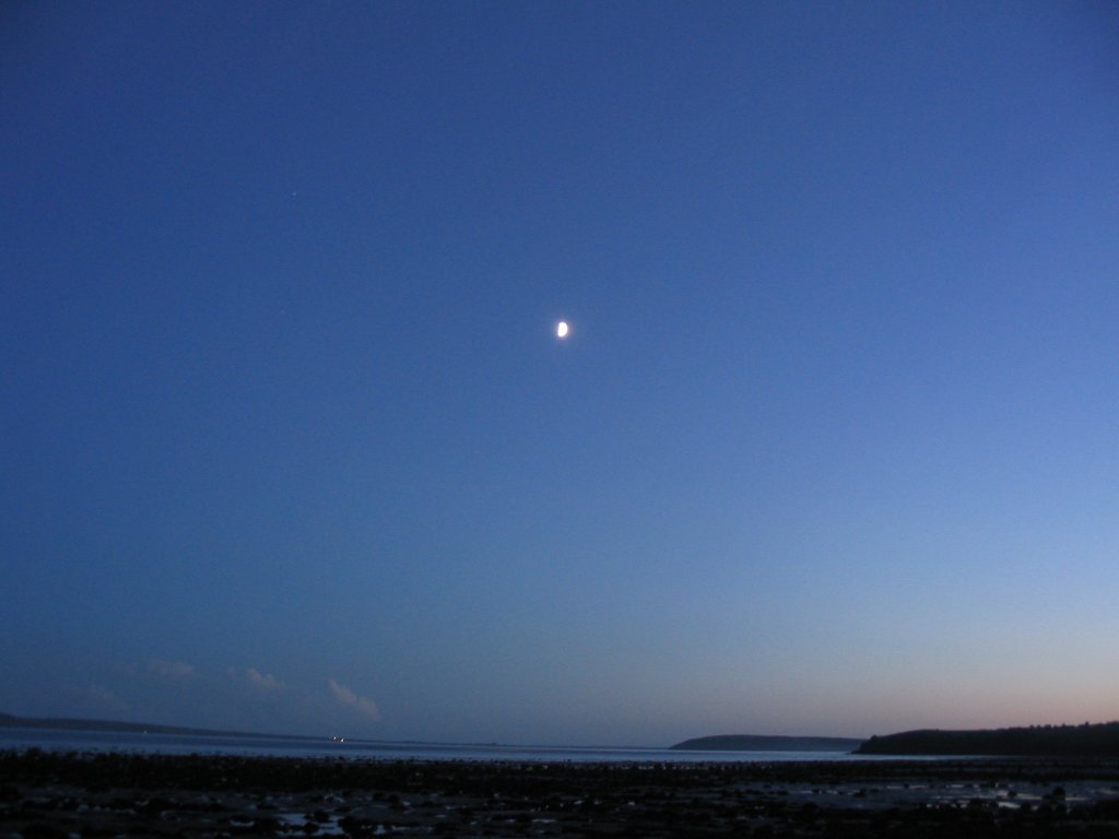 Cooney's Gap Woodstown