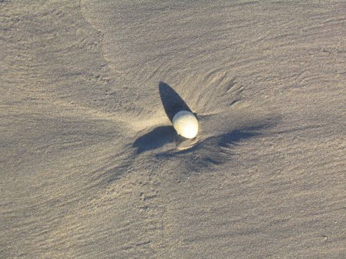 Stone on Beach