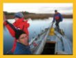 Leaving the Anchorage  (1402 Kb)