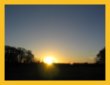 Phoenix Park Dusk