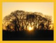 Phoenix Park
